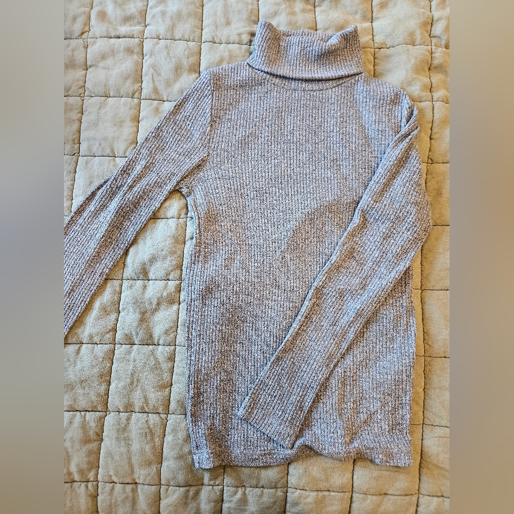 Banana Republic Ribbed Turtleneck Sweater